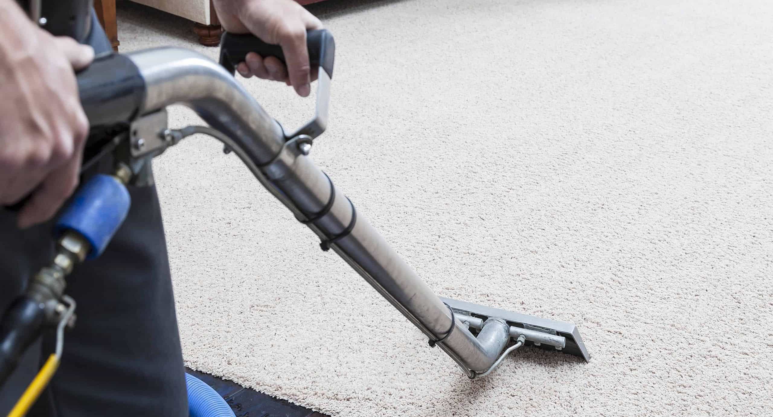 professional carpet cleaning company